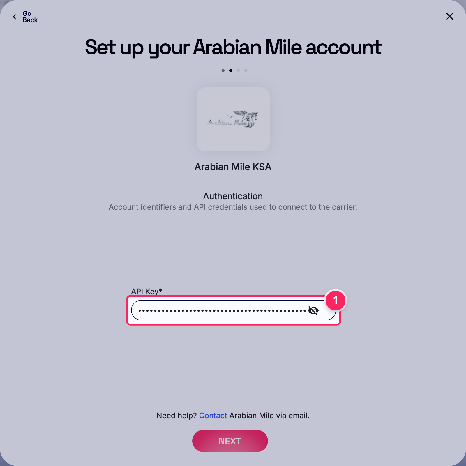 Enter api key.