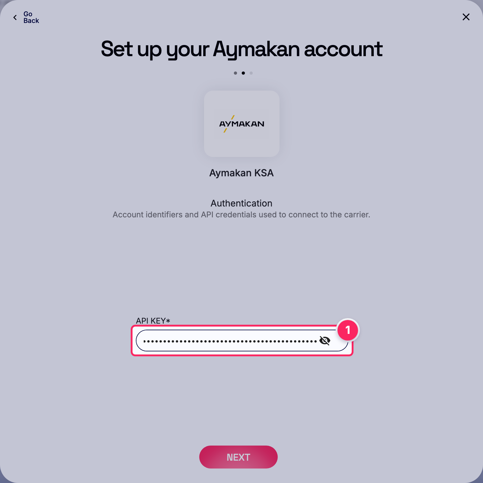 Enter api key.