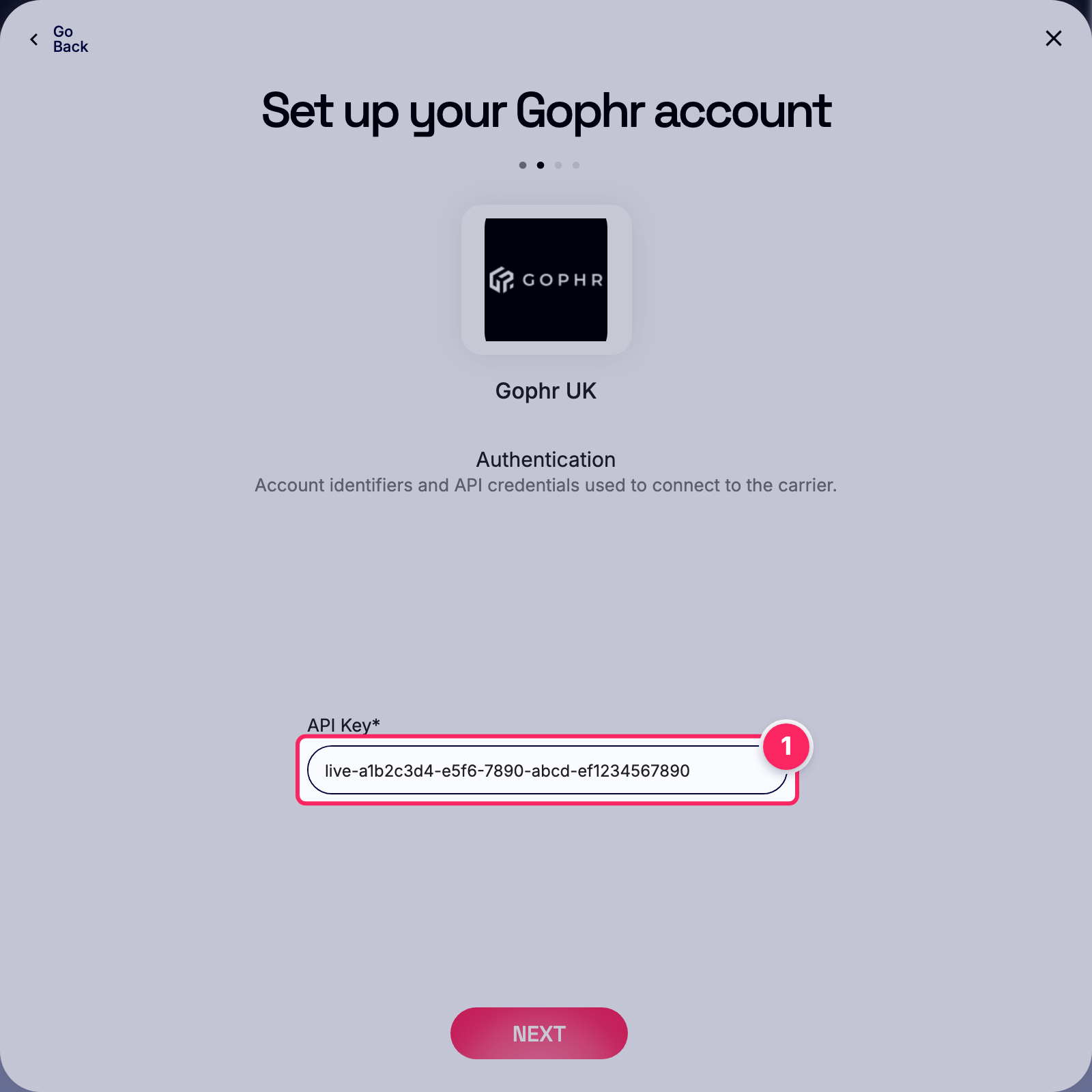 Enter api key.