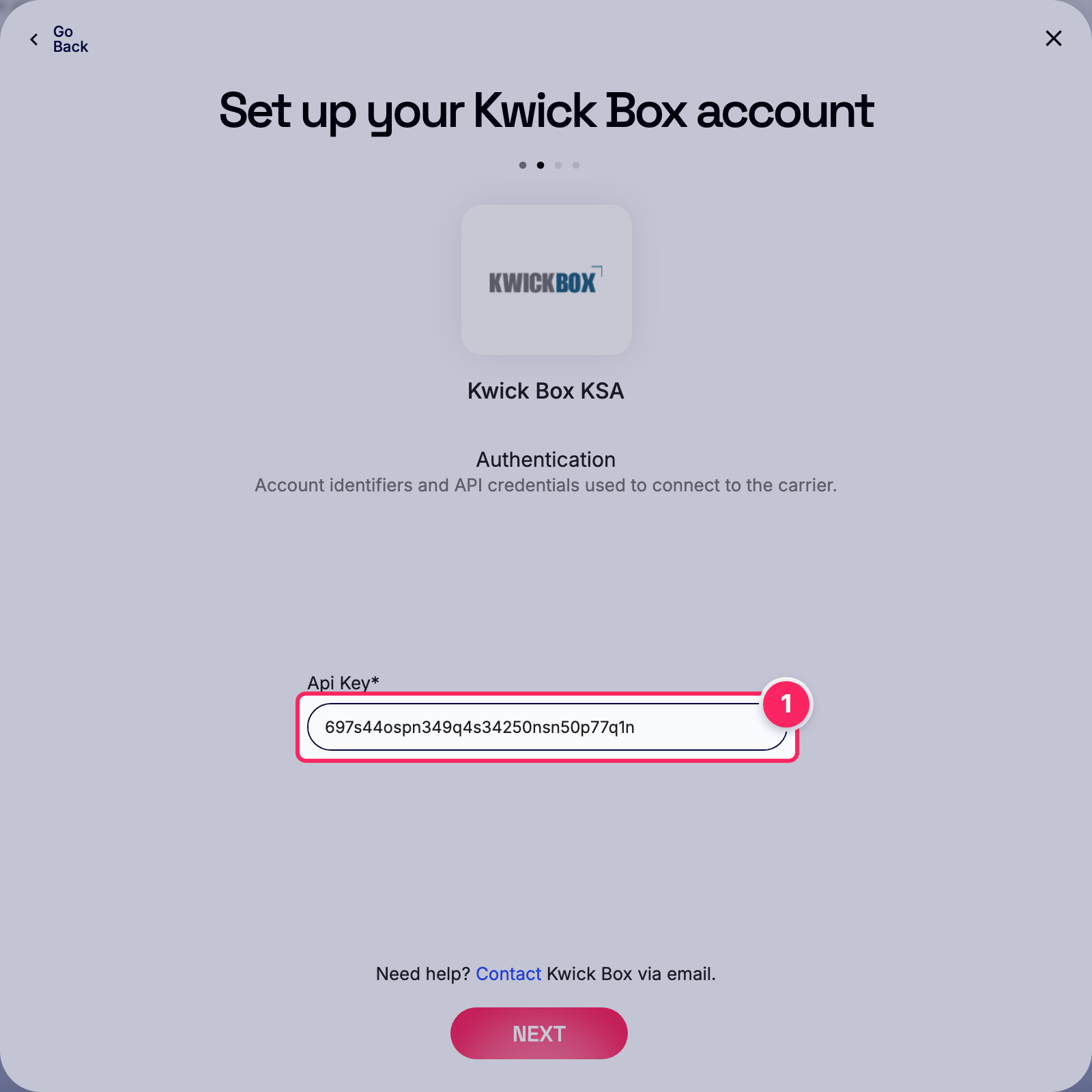 Enter api key.