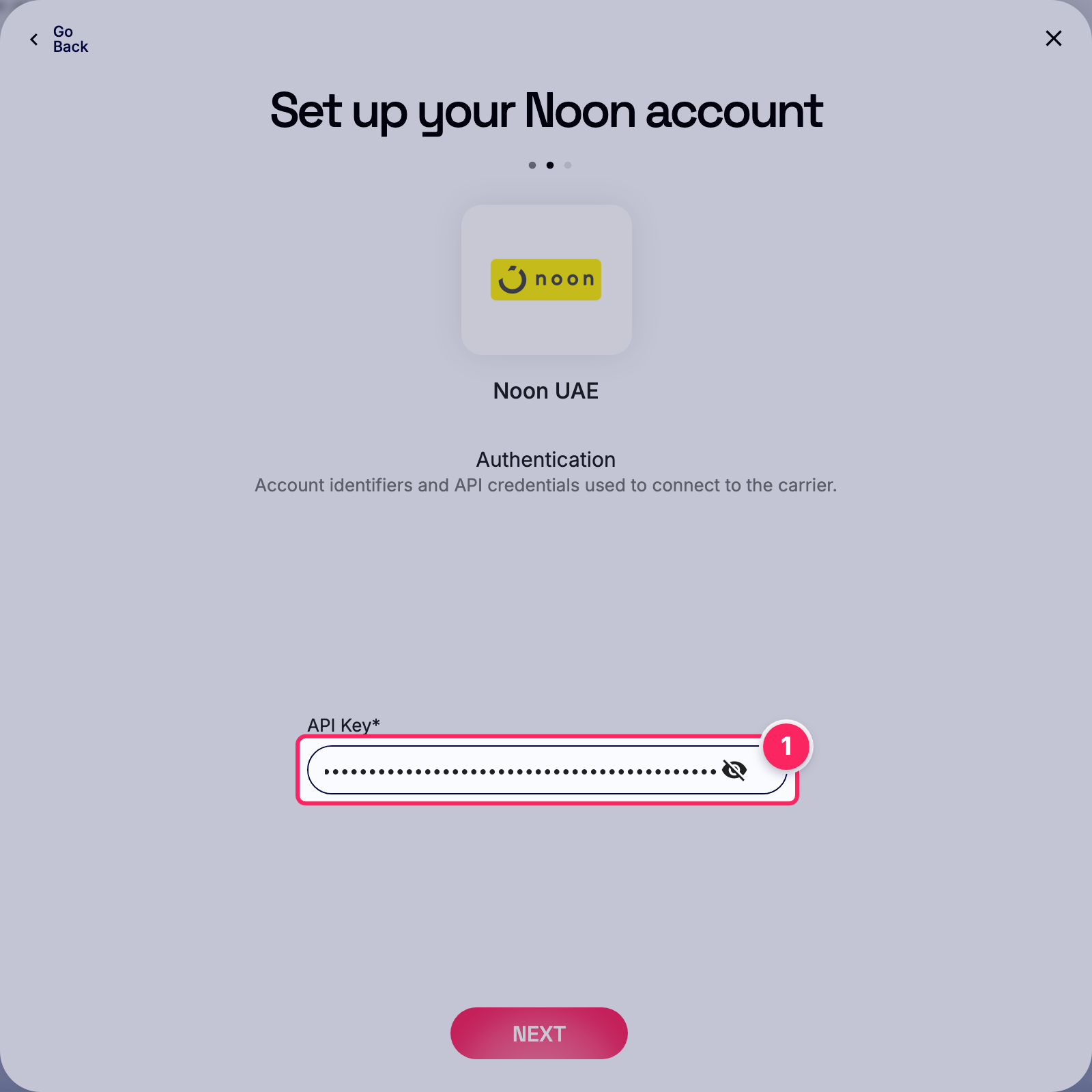 Enter api key.