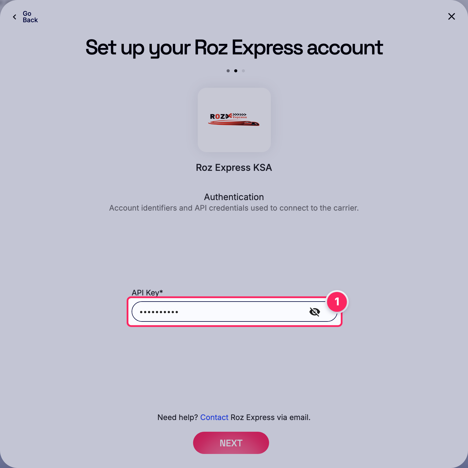 Enter api key.