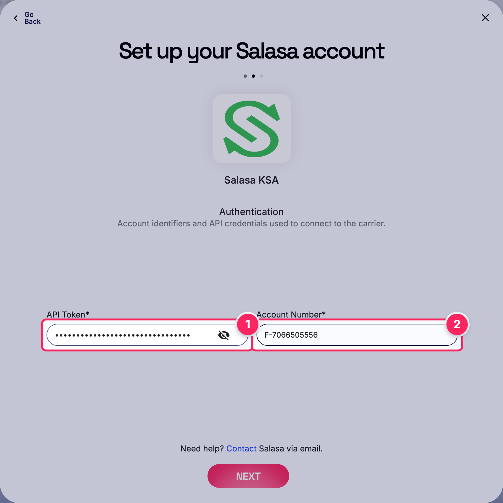 Fill in the Salasa account details.