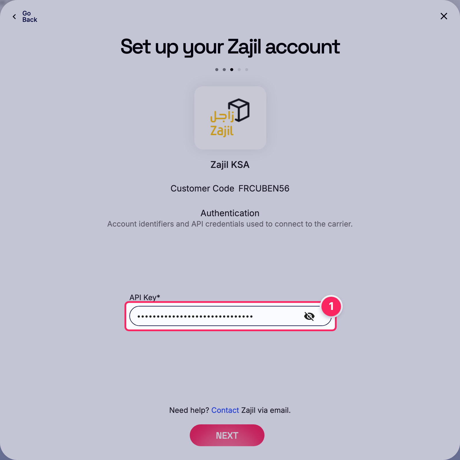 Enter api key.